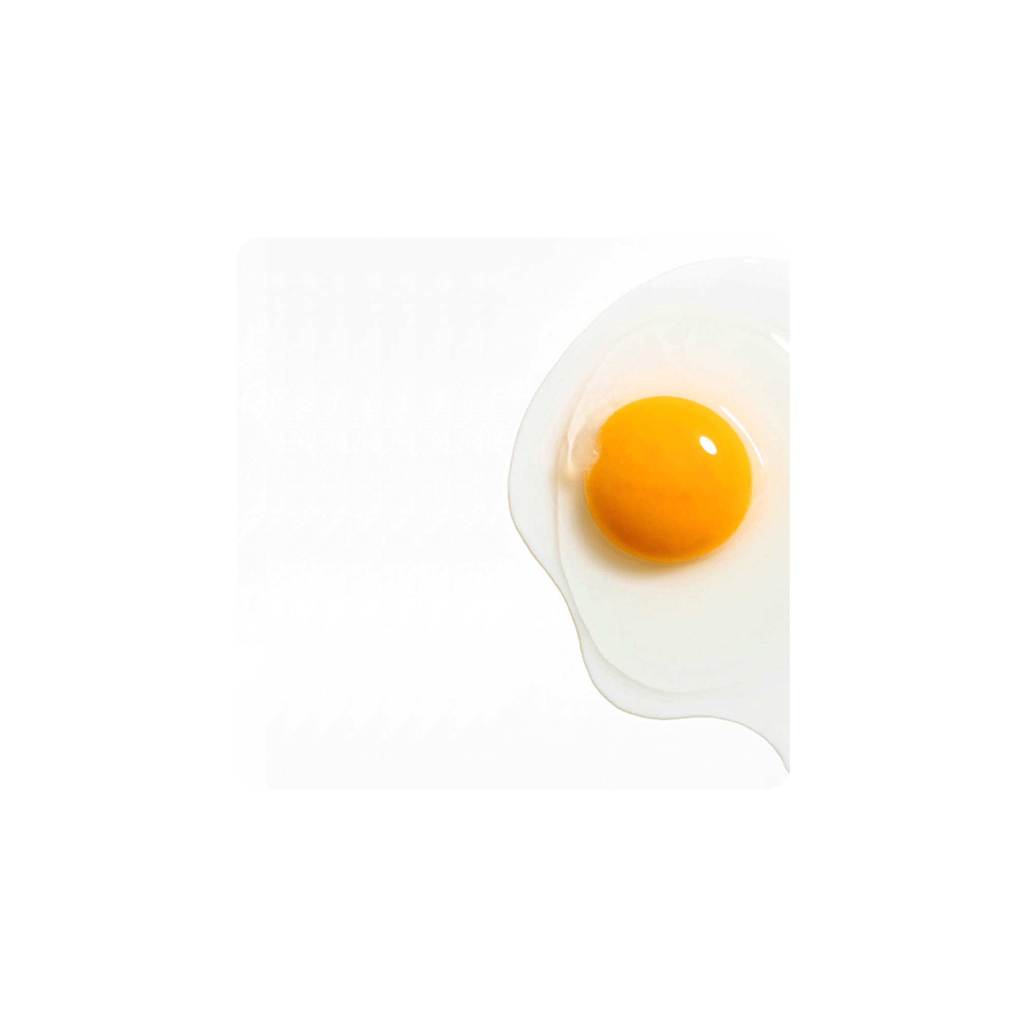 Fresh egg with a bright yellow yolk on a white background, showcasing its natural color and texture.