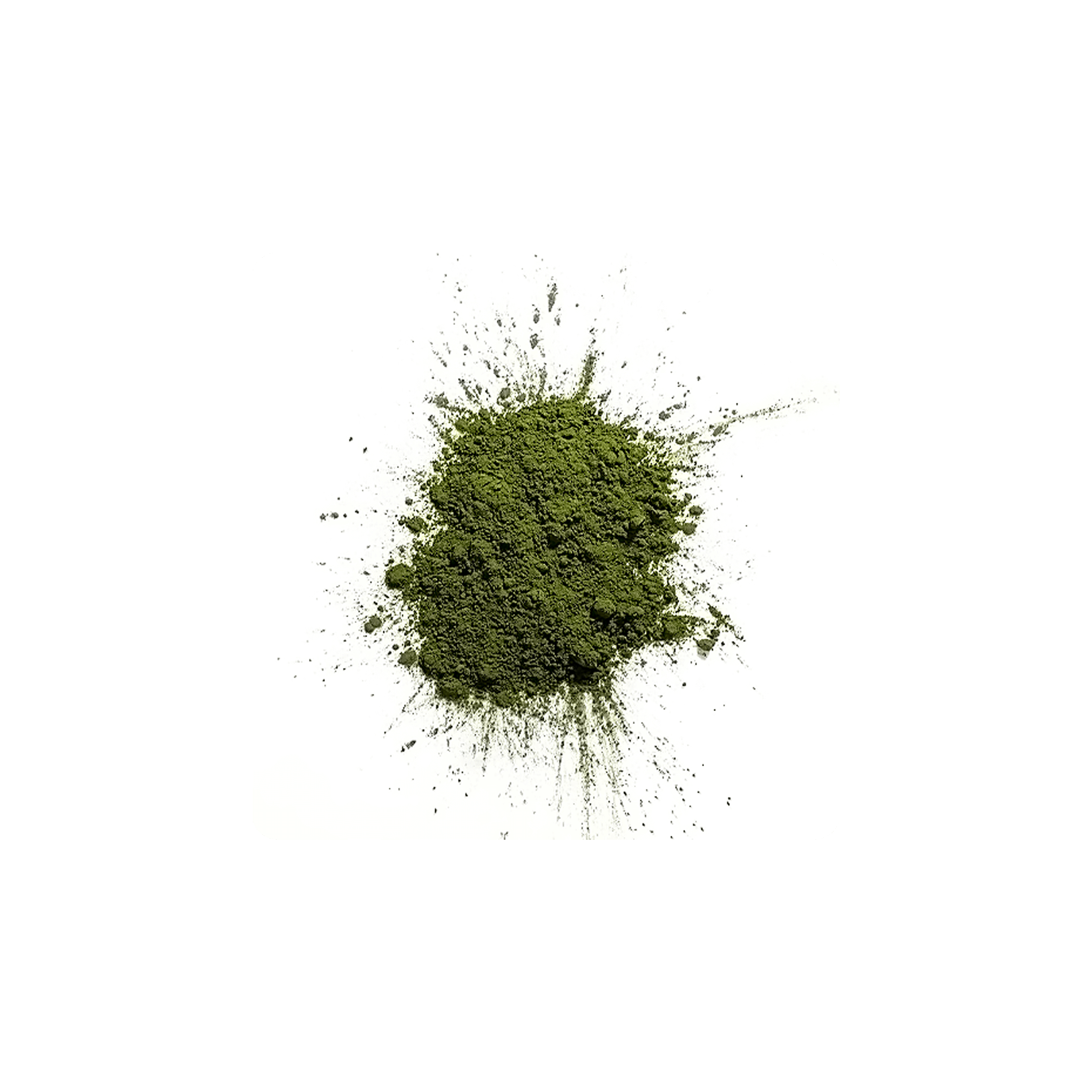 Chlorella green powder on a white background, showcasing its rich color and texture.