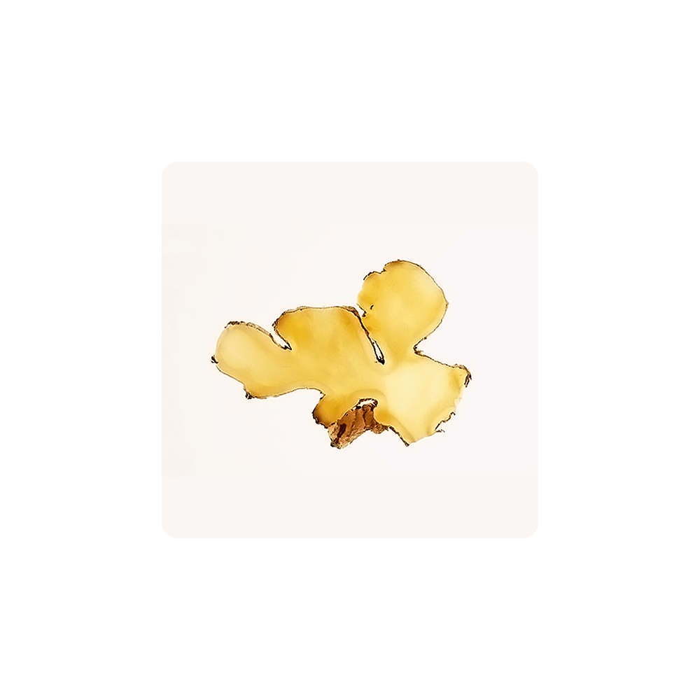 Fresh ginger root piece showcasing its unique shape and vibrant color, highlighting the benefits of Ginger.