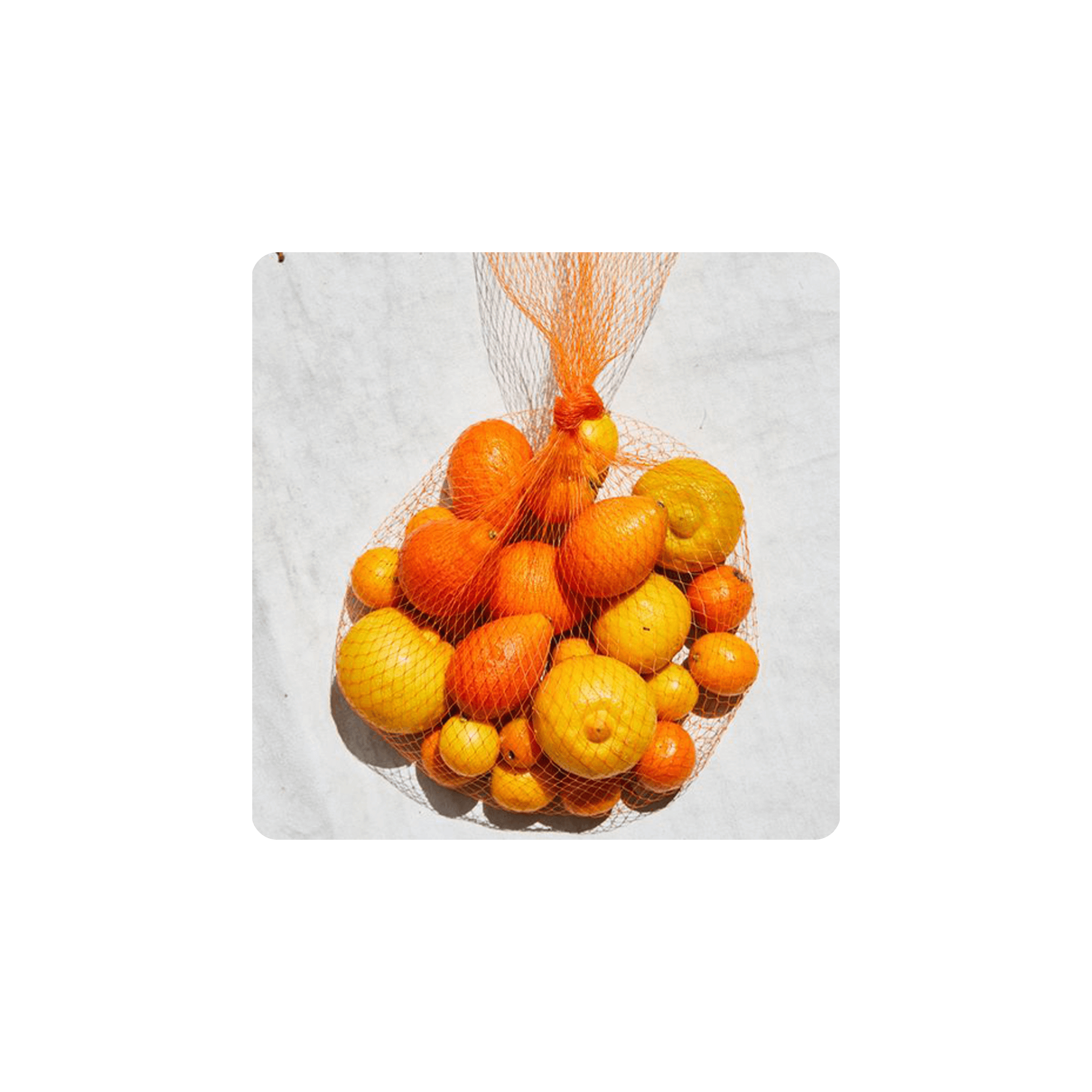 Vitamin C rich fruits in a netted bag on a white surface, highlighting their health benefits.