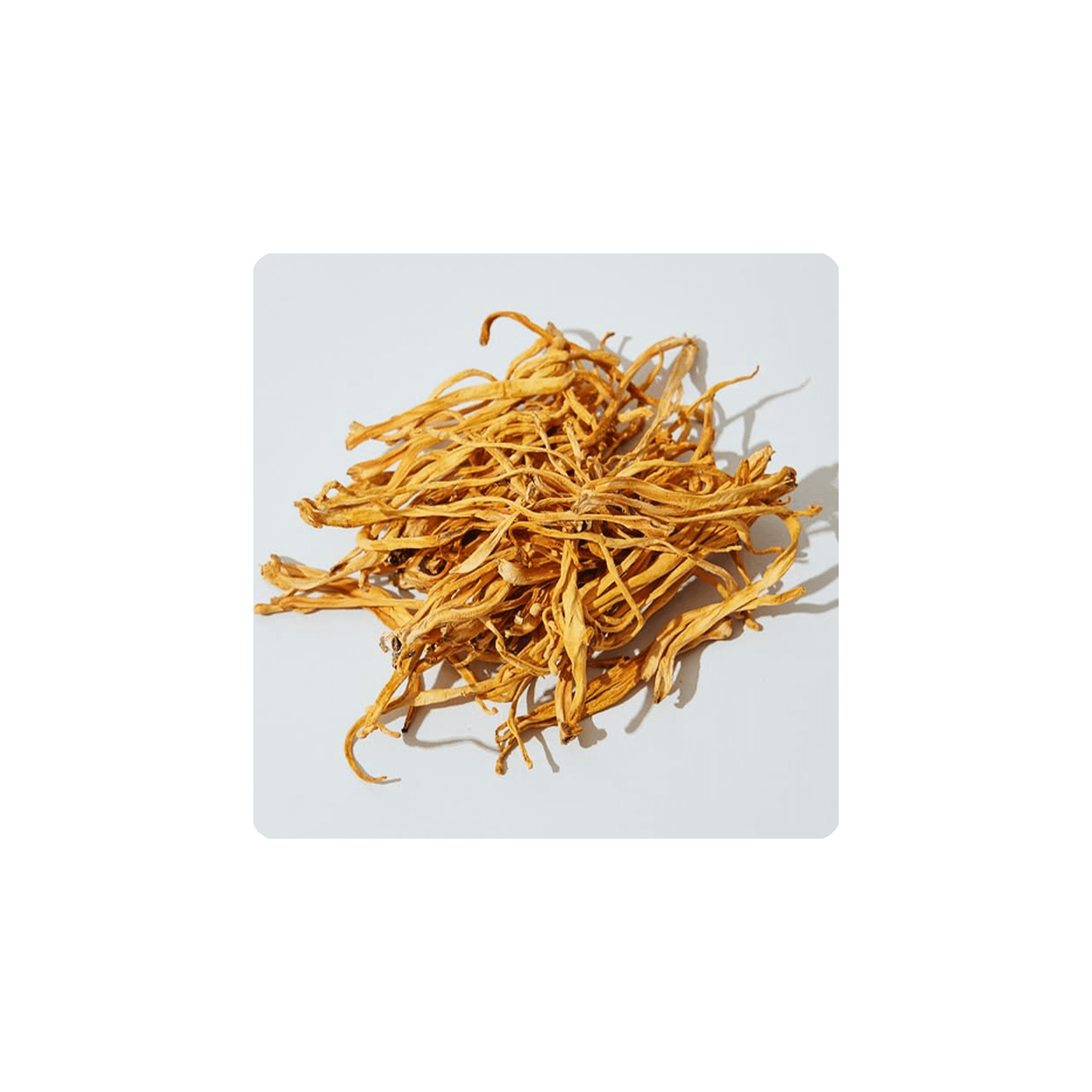 A pile of dried Cordyceps mushrooms on a light background, showcasing their vibrant orange color.
