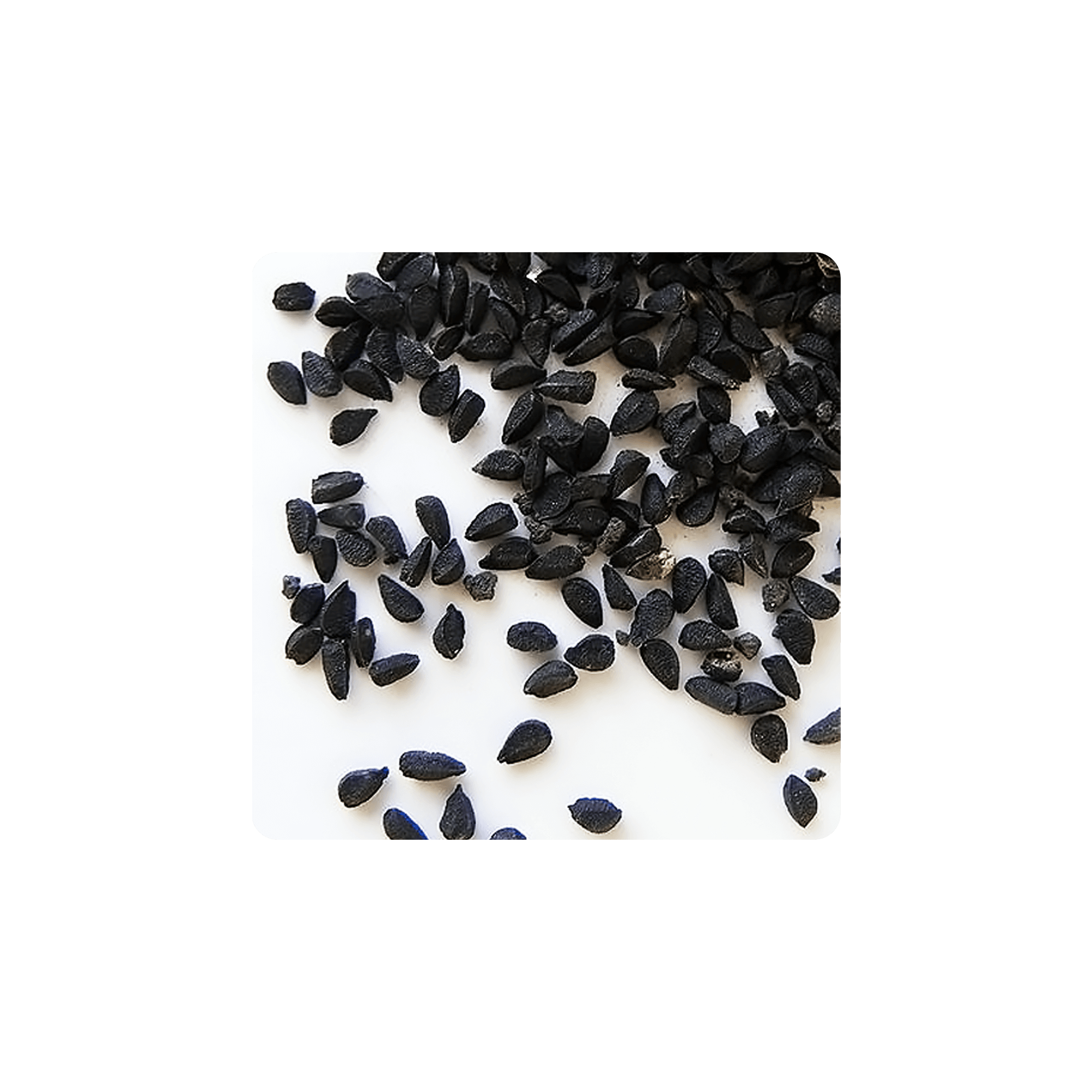 Nigella (Black Seed) seeds scattered on a surface, highlighting the unique shape and color of this nutrient-rich botanical.