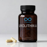 Urolithin A | Mitochondrial Health | 30 Capsules