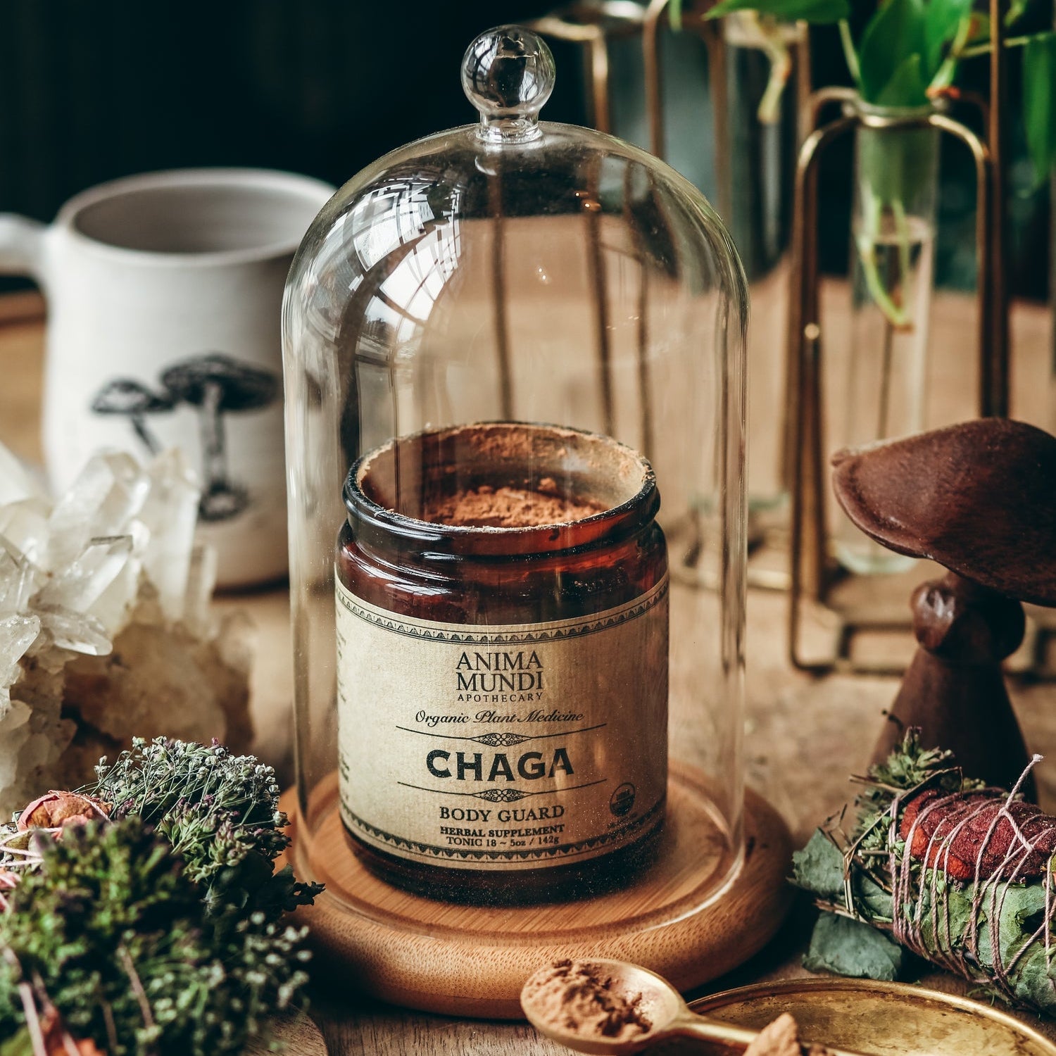 Anima Mundi Chaga body guard jar under a glass cloche on a wooden table with plants and a mug in the background.