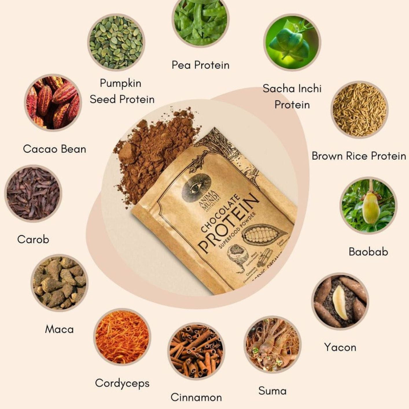 Chocolate protein powder package with various health benefits ingredients displayed around it on a beige background.