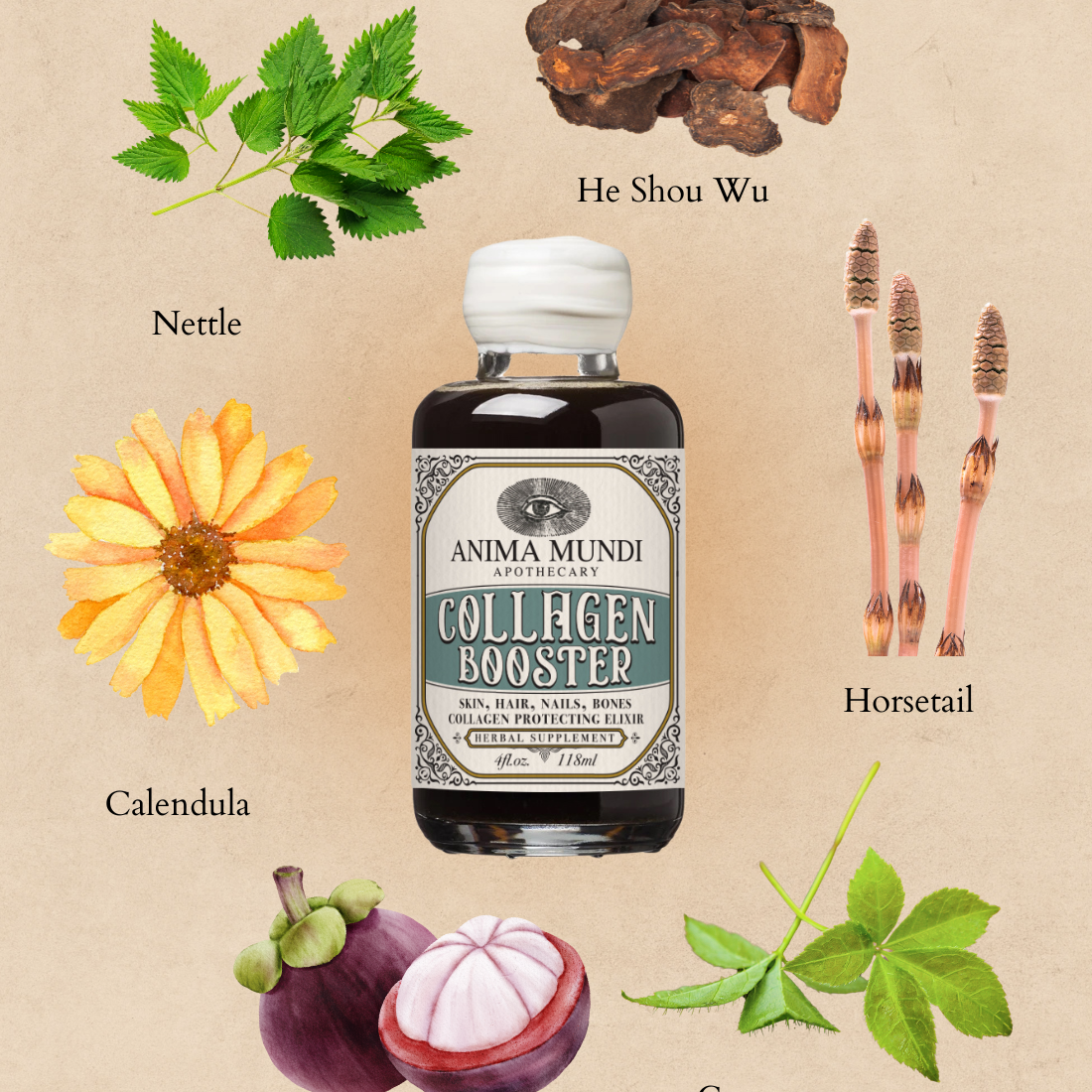 Collagen Booster bottle with natural ingredients on a beige background