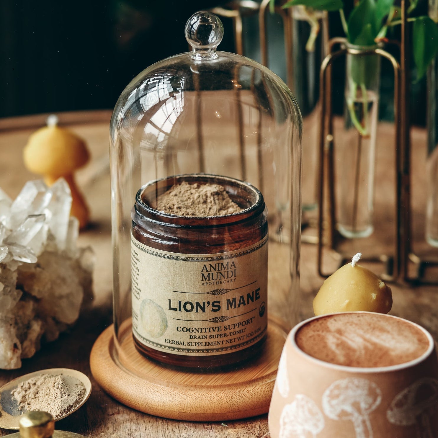 Ceramic container labeled 'Lion's Mane' on a wooden surface with a glass dome, mug, and decorative elements.
