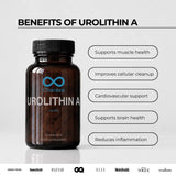 Urolithin A | Mitochondrial Health | 30 Capsules