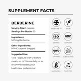 Berberine 500mg | Metabolic Support | 60 Capsules