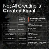 Creatine Monohydrate, Signature Spec | 90 Servings
