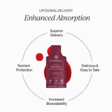 Liposomal Elderberry | 26 Pouches