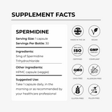Spermidine | Autophagy + Cellular Renewal | 30 Capsules