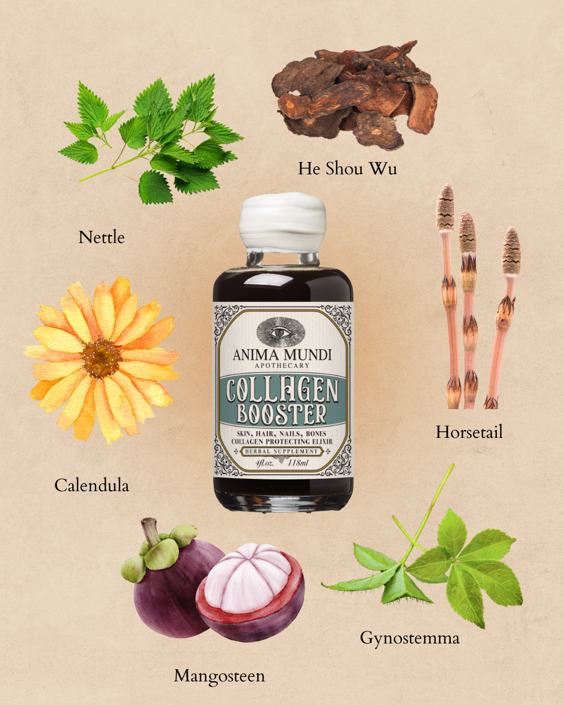 Collagen Booster bottle with natural ingredients on a beige background
