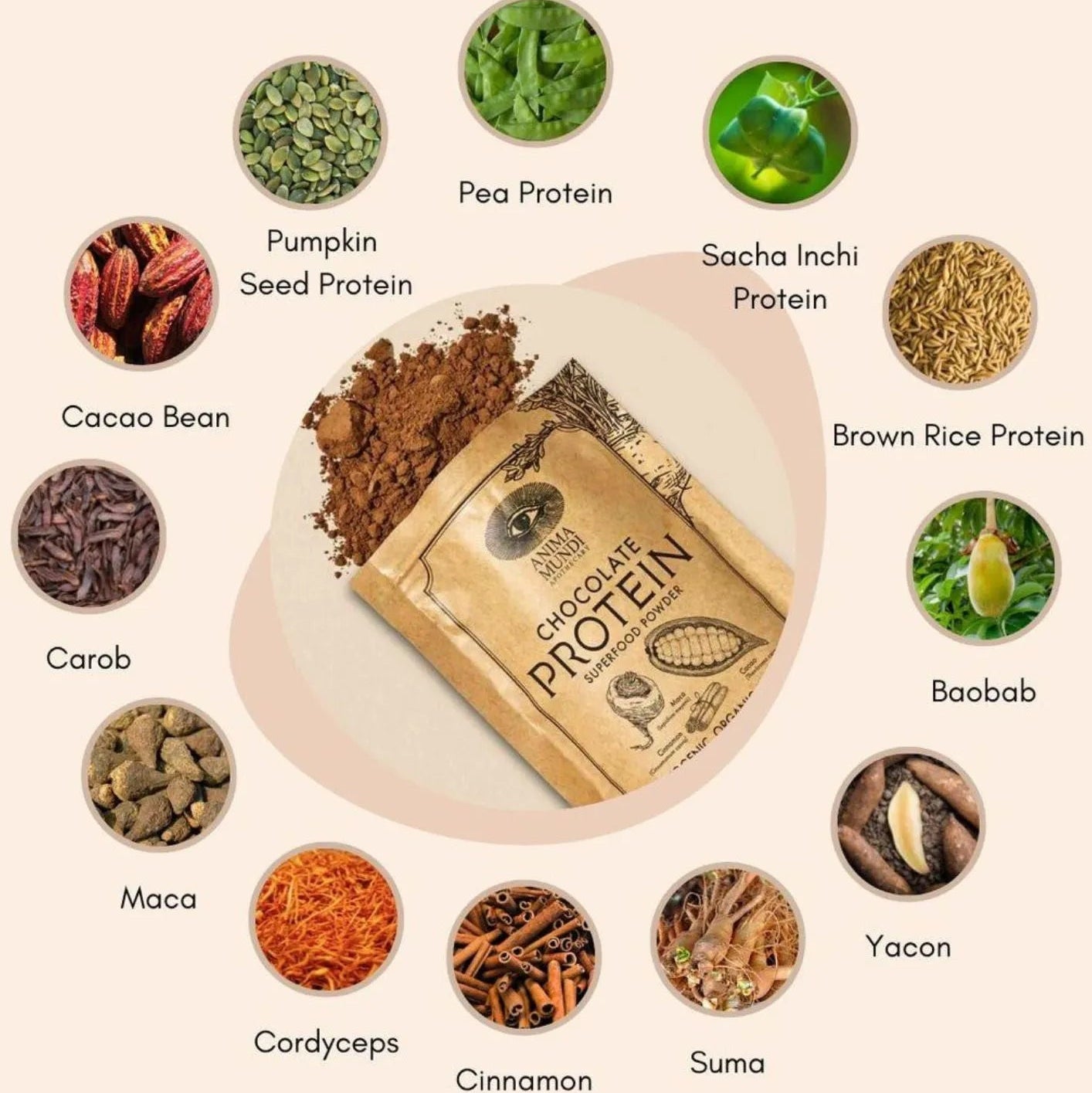 Chocolate Protein superfood powder featuring various plant-based proteins and ingredients for nutrition and vitality.