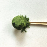 Spoonful of green powder for the Liver Vitality Greens daily cleansing powder to enhance liver health.