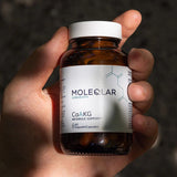 CaAKG, Calcium Alpha-Ketoglutarate | Longevity + Cellular Energy | 60 Capsules