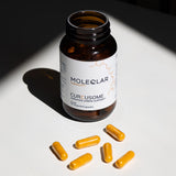 Curcusome | Curcumin Complex | 60 Capsules