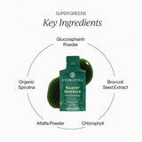 Super Greens | 30 pouches with key ingredients including spirulina, chlorophyll, and glucoraphanin powder.