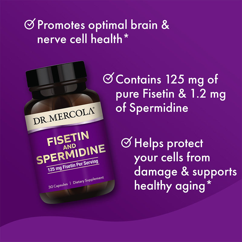Fisetin and Spermidine | 30 Capsules - ENDORPHIN