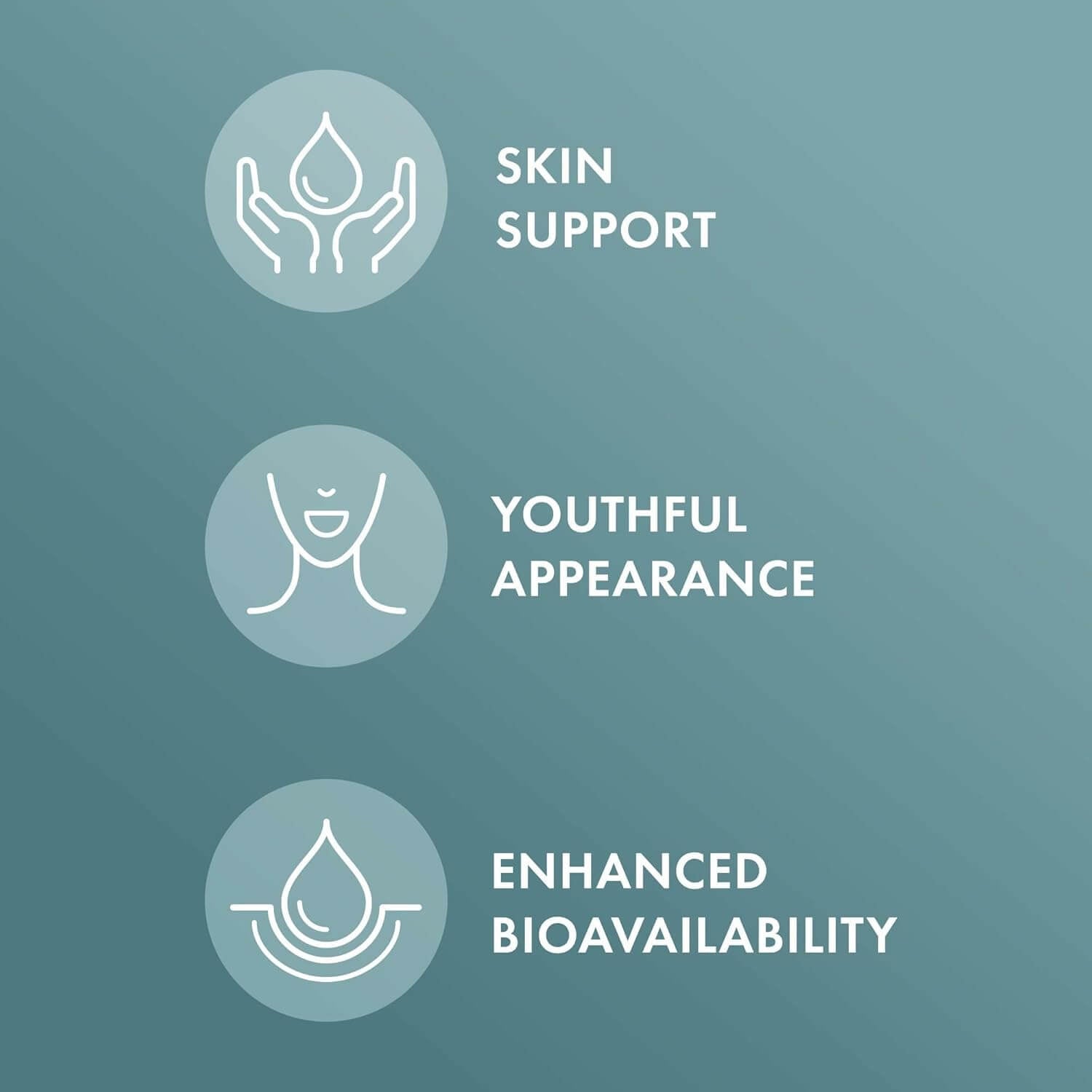 Infographic showing benefits of Hair Skin and Nails: Skin support, youthful appearance, enhanced bioavailability.
