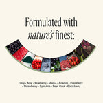 NAD+ Women's Longevity Formula | 90 Capsules - ENDORPHIN
