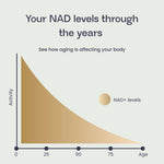 Graph showing NAD levels through the years versus age, illustrating the decline in NAD+ levels.